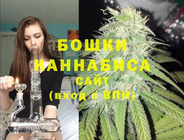 дурь Лабытнанги