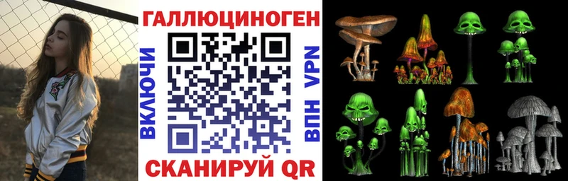 МЕГА маркетплейс  Стерлитамак  Псилоцибиновые грибы Cubensis  цена наркотик 