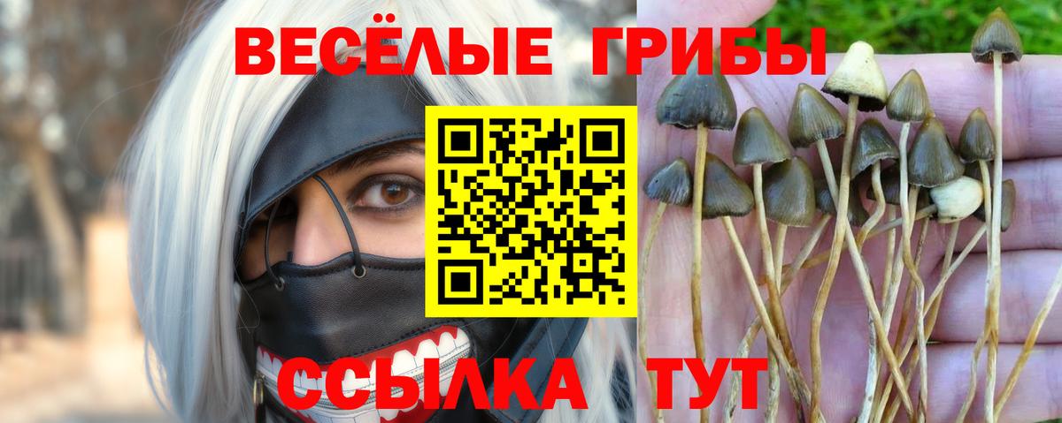 Псилоцибиновые грибы ЛСД  Галлюциногенные грибы Psilocybine cubensis  Стерлитамак  Вход с VPN 